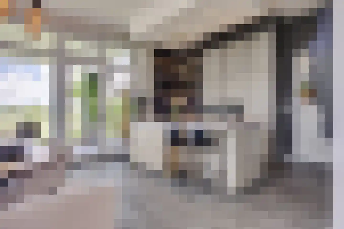 Ligtelijnweg 17 Loenen aan de Vecht thumbnail 13