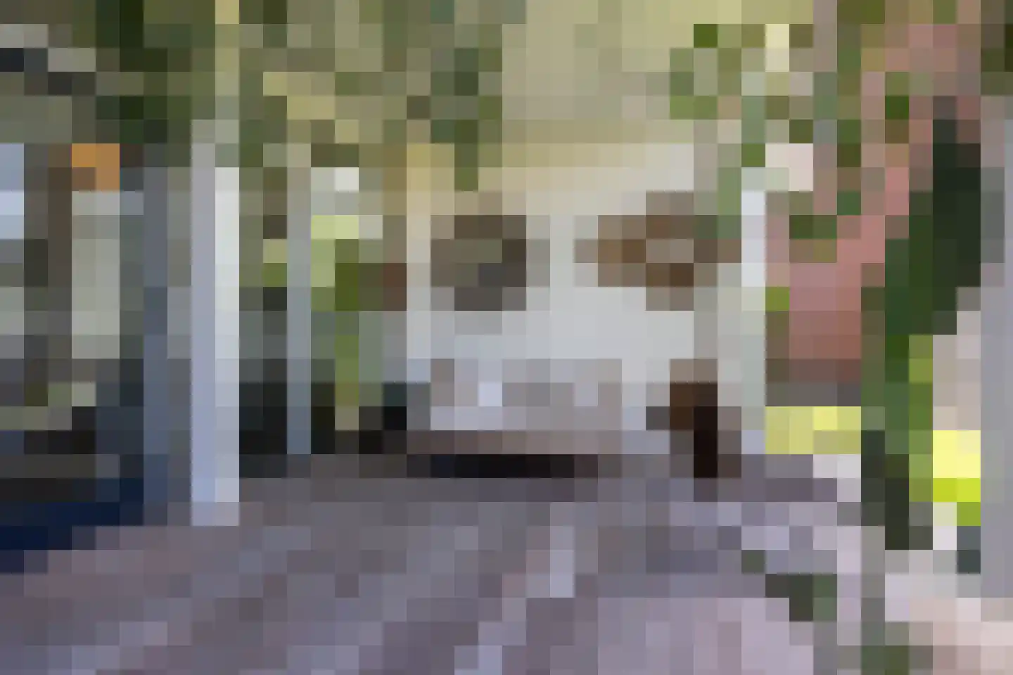 Ligtelijnweg 17 Loenen aan de Vecht thumbnail 16