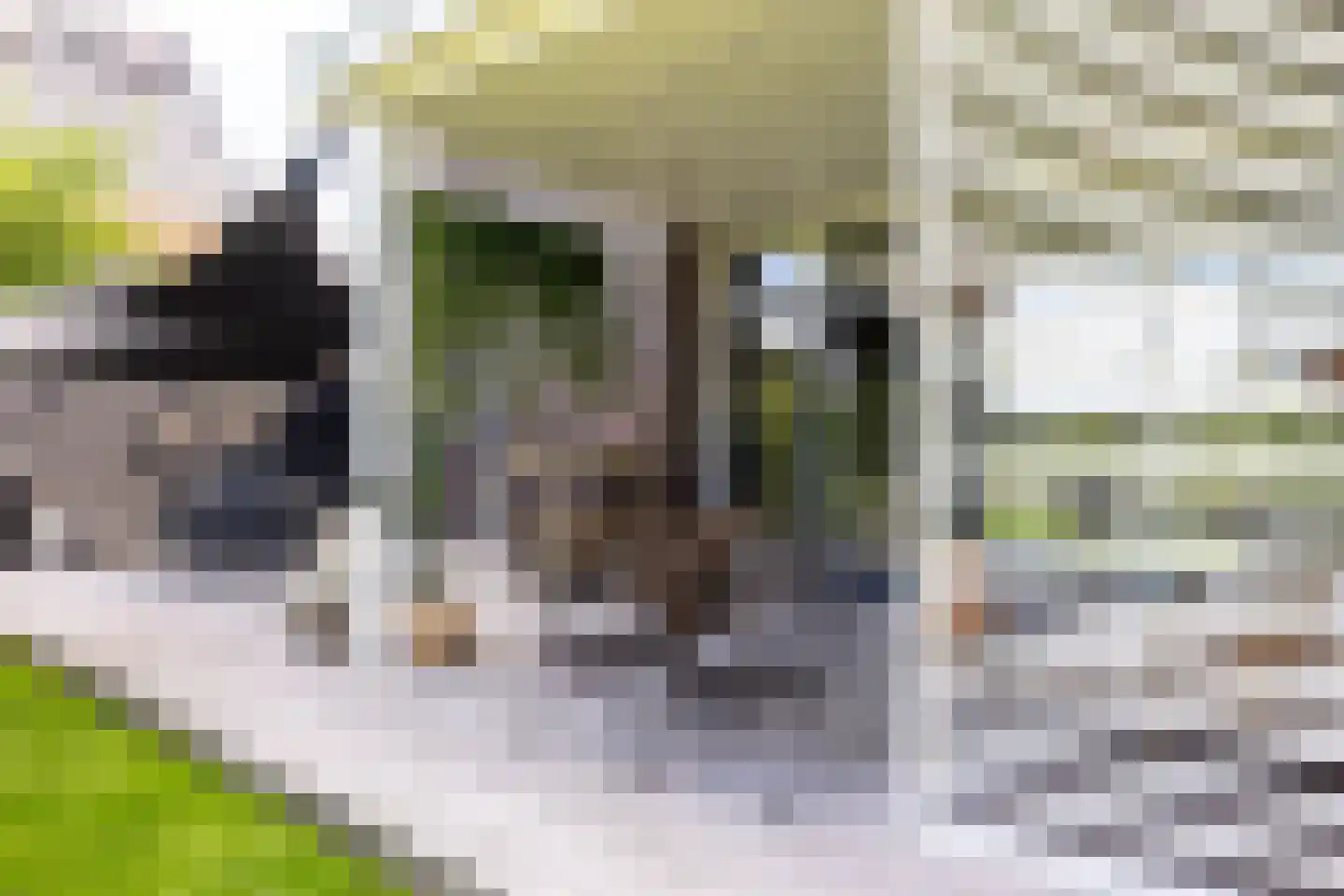 Ligtelijnweg 17 Loenen aan de Vecht thumbnail 17