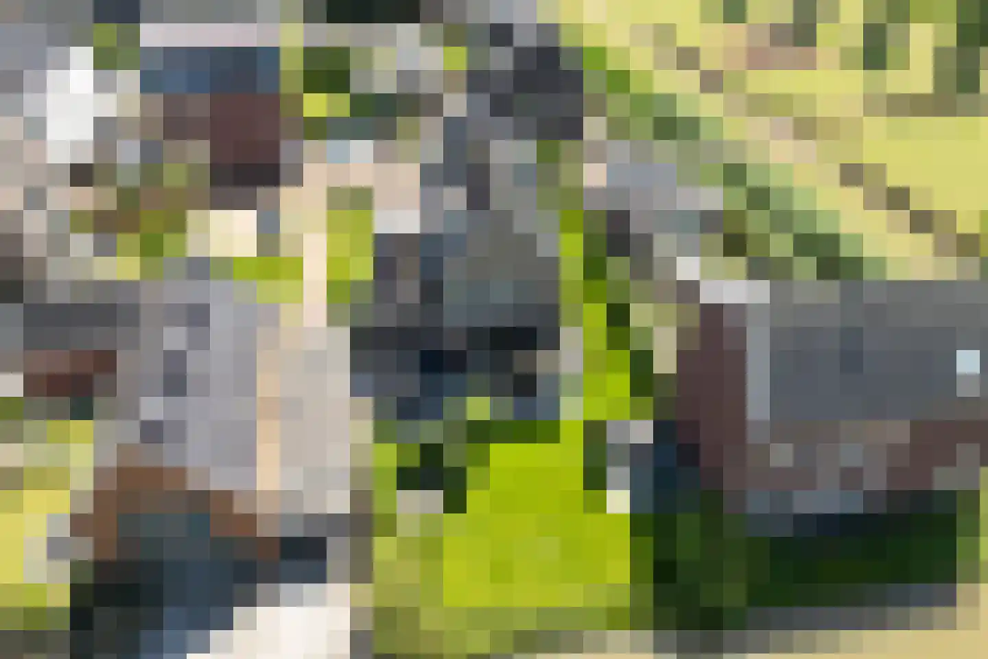 Ligtelijnweg 17 Loenen aan de Vecht thumbnail 45