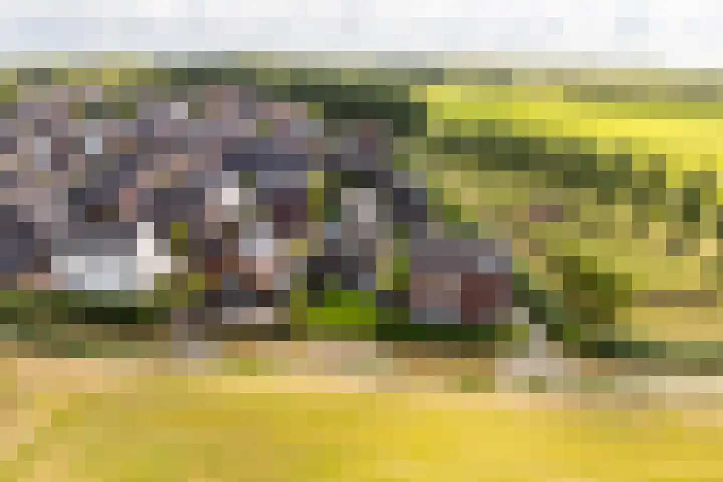 Ligtelijnweg 17 Loenen aan de Vecht thumbnail 48