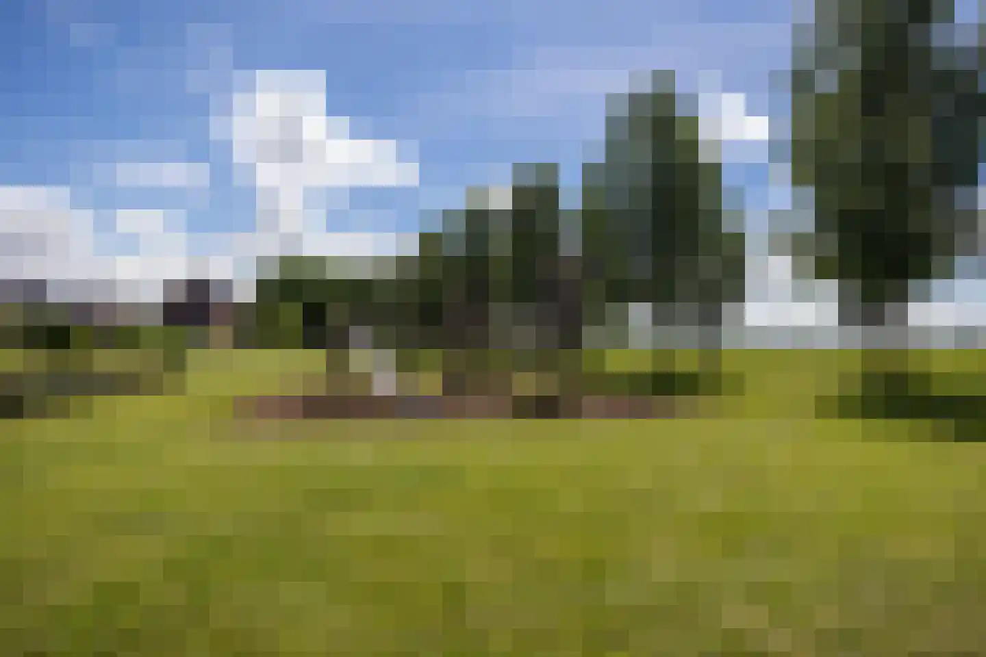 Ligtelijnweg 17 Loenen aan de Vecht thumbnail 51