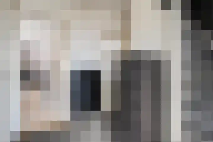 Ligtenbergerdijk 10 Rijssen thumbnail 10