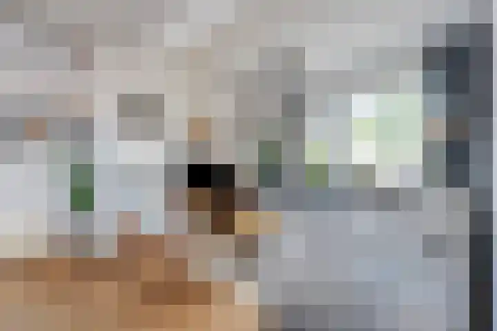 Ligtenbergerdijk 10 Rijssen thumbnail 13