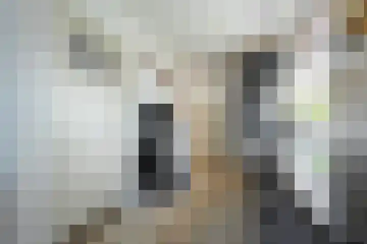 Ligtenbergerdijk 10 Rijssen thumbnail 17