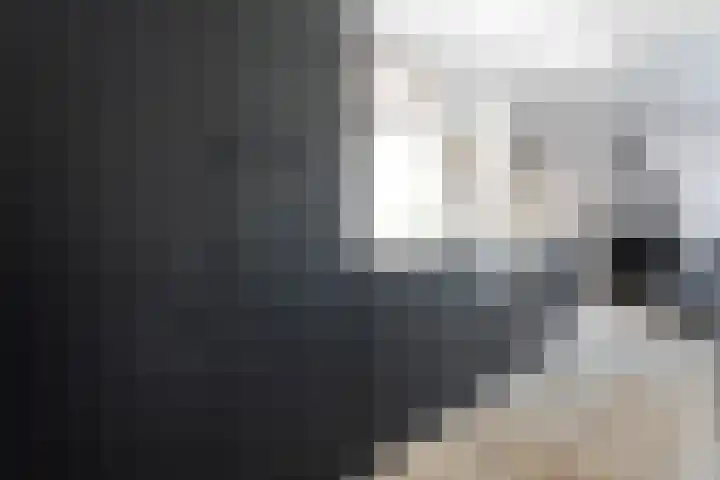 Ligtenbergerdijk 10 Rijssen thumbnail 18