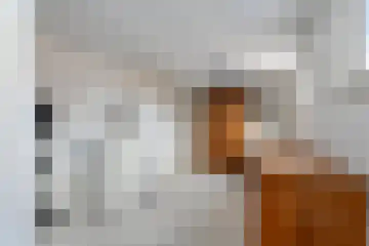 Ligtenbergerdijk 10 Rijssen thumbnail 21