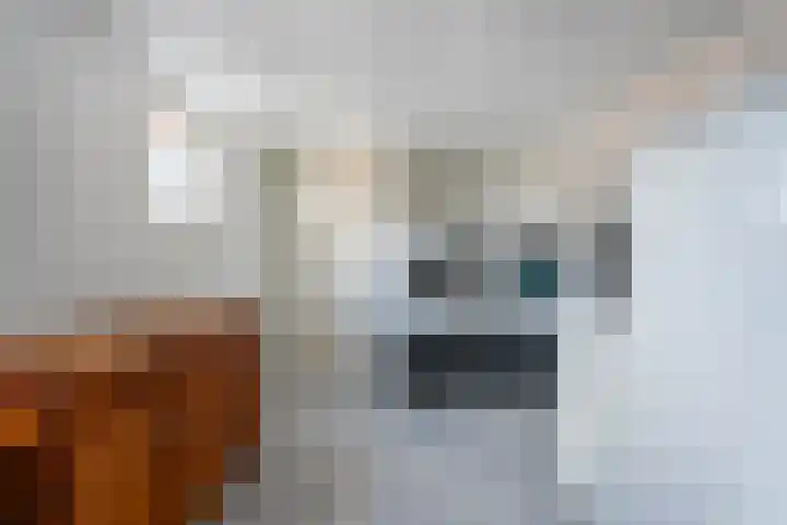 Ligtenbergerdijk 10 Rijssen thumbnail 22