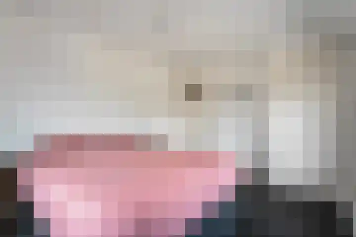 Ligtenbergerdijk 10 Rijssen thumbnail 26