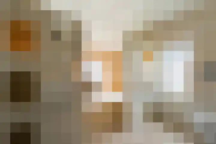 Ligtenbergerdijk 10 Rijssen thumbnail 28
