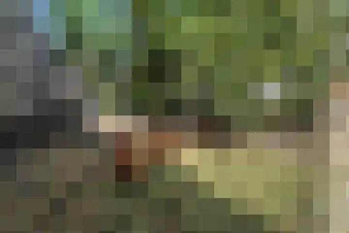Ligtenbergerdijk 10 Rijssen thumbnail 37