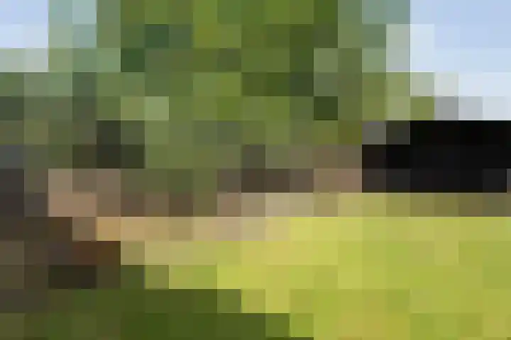 Ligtenbergerdijk 10 Rijssen thumbnail 38