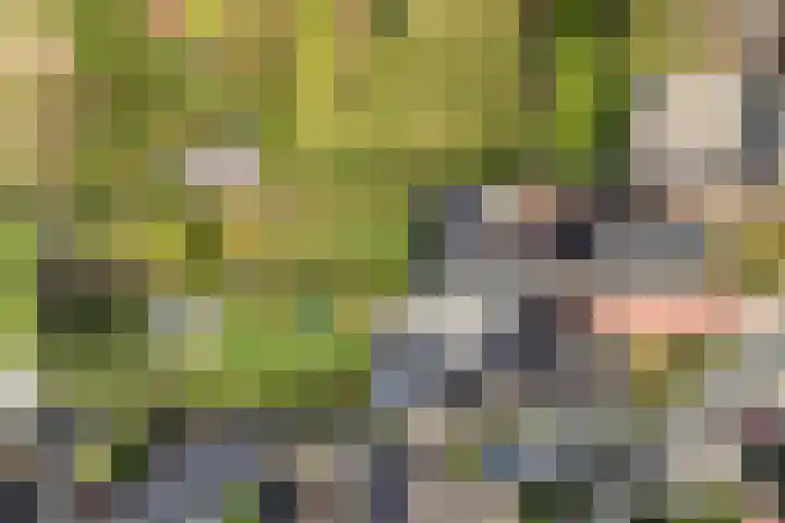 Ligtenbergerdijk 10 Rijssen thumbnail 4