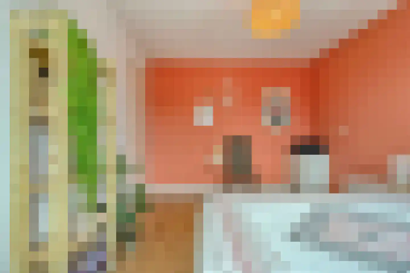 Ligtenbergerdijk 27 B Rijssen thumbnail 31