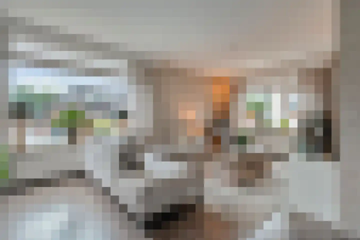 Ligtenbergerdijk 27 B Rijssen thumbnail 4