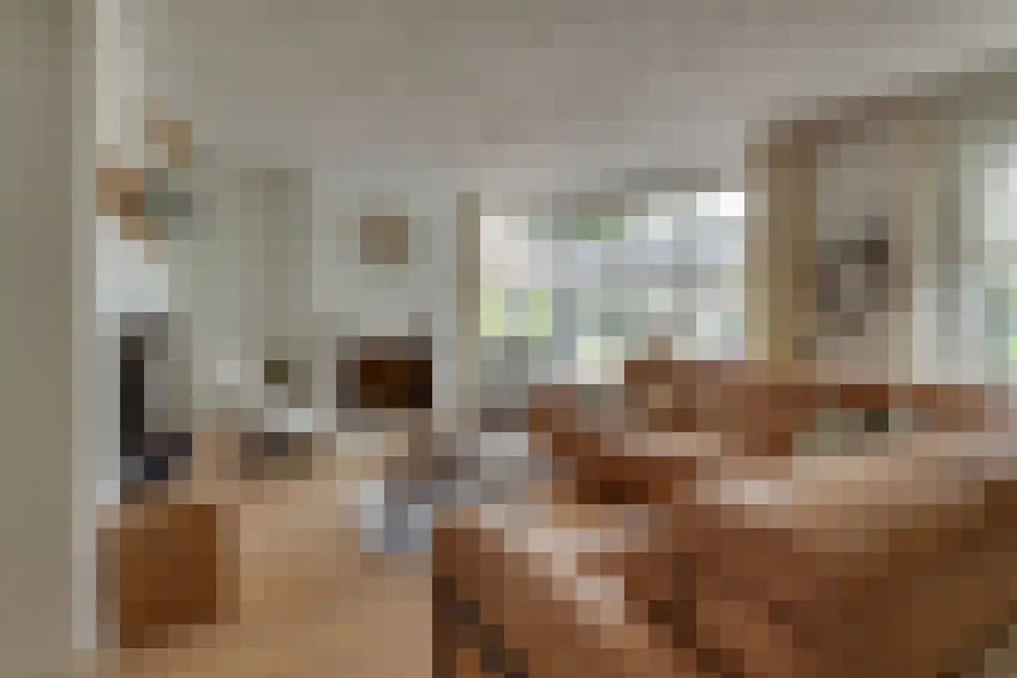 Ligtenbergerdijk 3 A Rijssen thumbnail 11