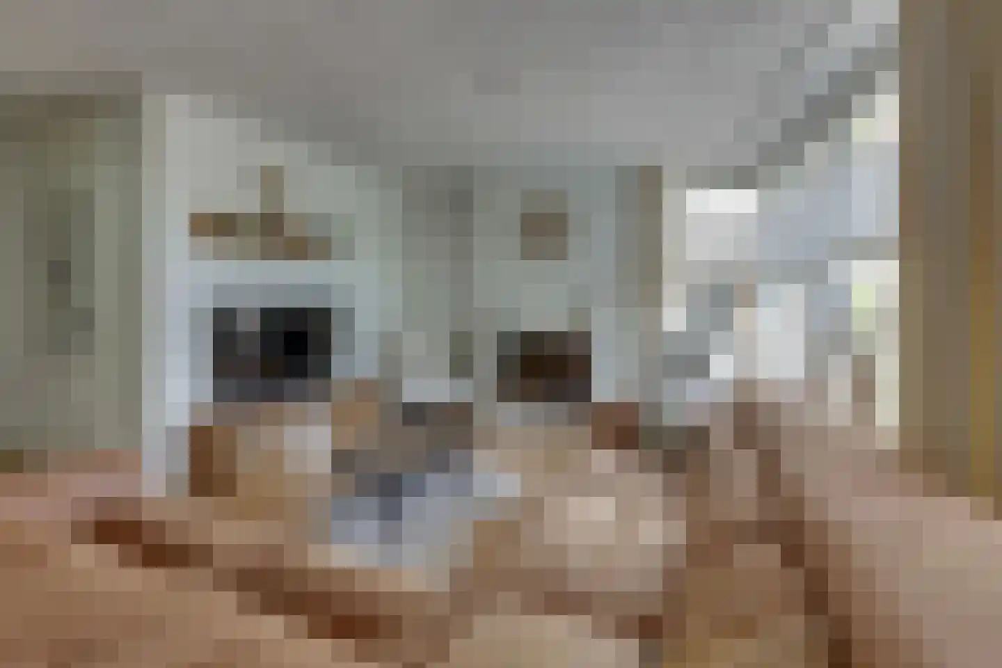 Ligtenbergerdijk 3 A Rijssen thumbnail 12