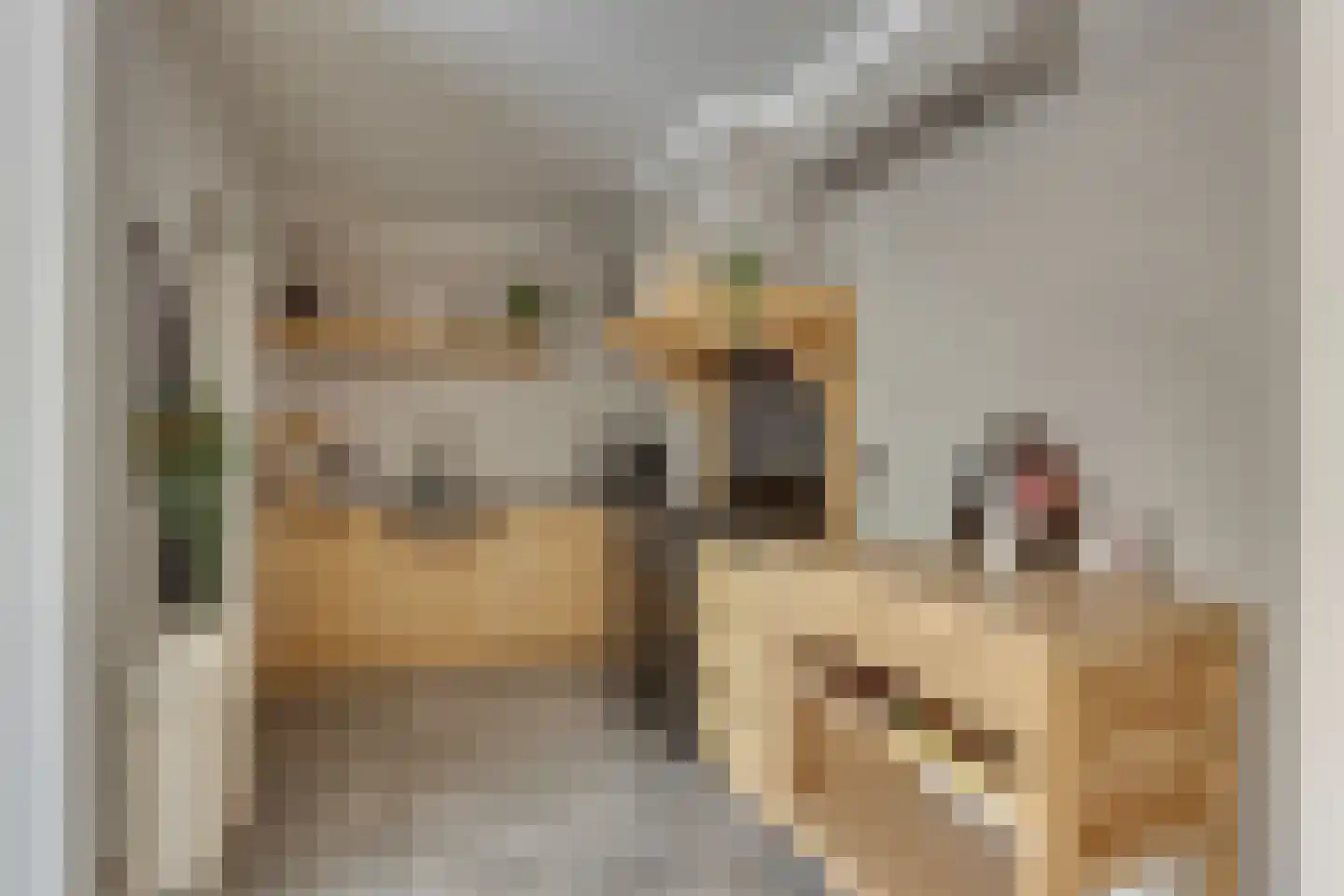 Ligtenbergerdijk 3 A Rijssen thumbnail 19
