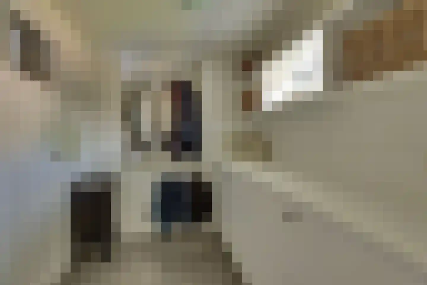 Ligtenbergerdijk 3 A Rijssen thumbnail 23