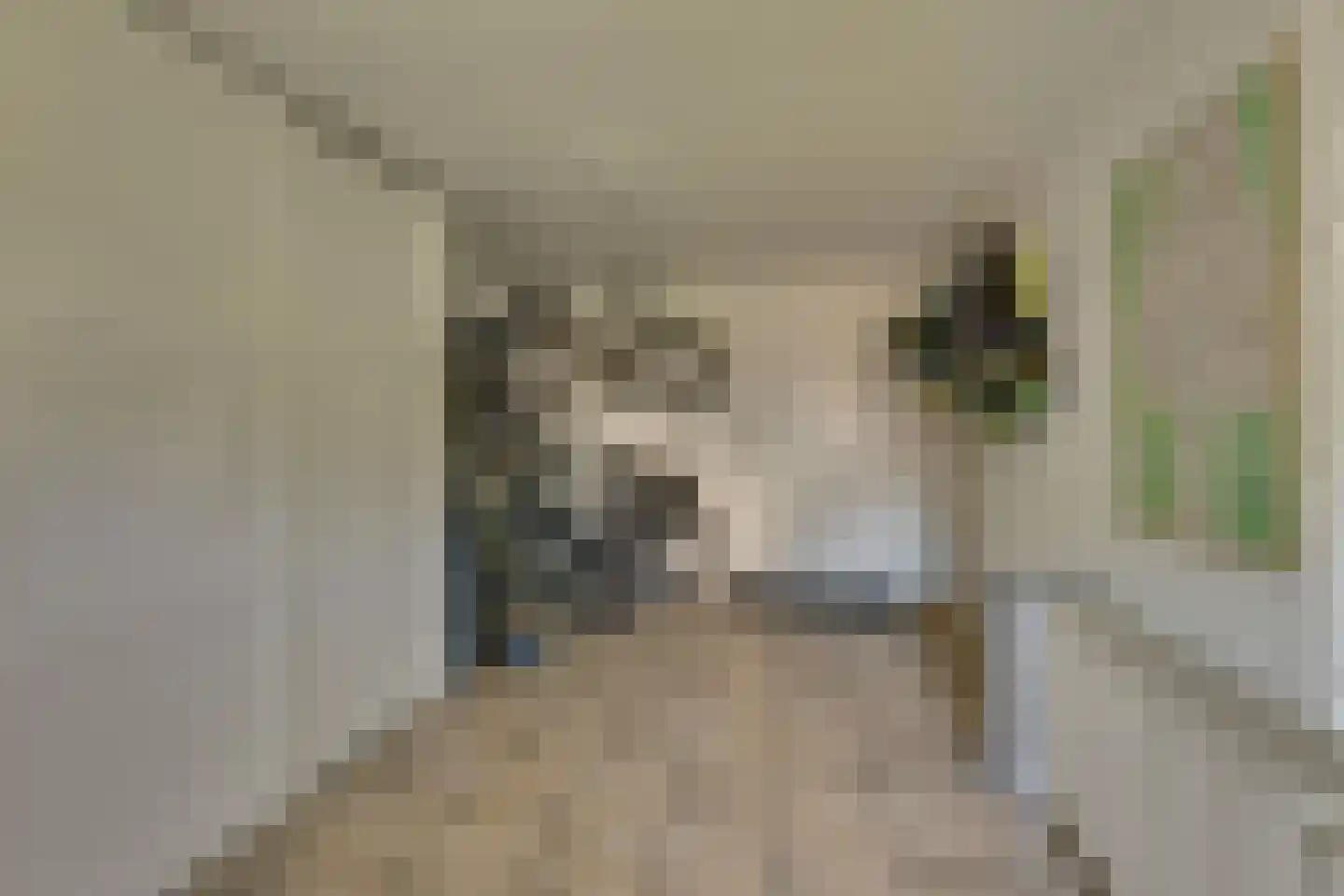 Ligtenbergerdijk 3 A Rijssen thumbnail 24
