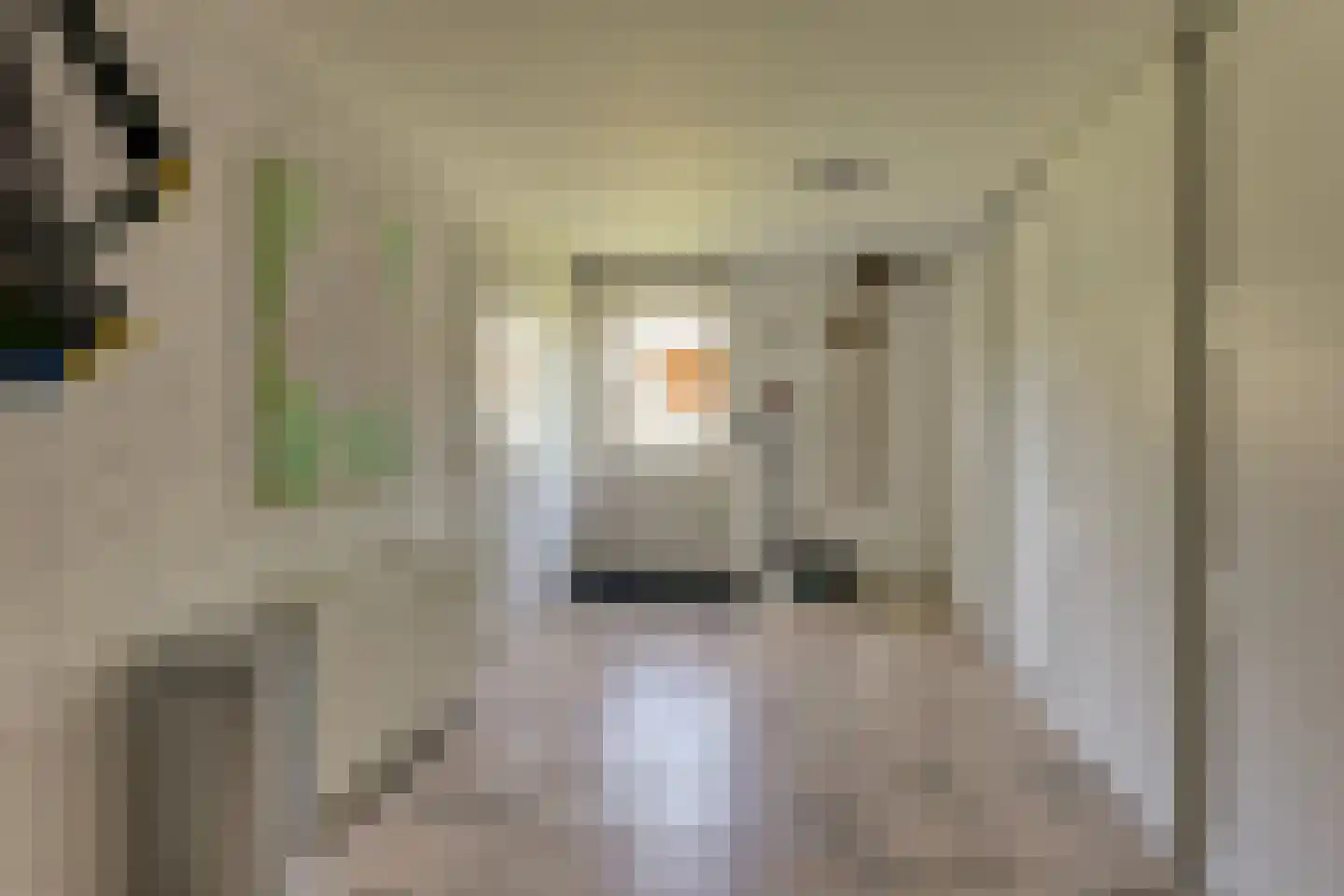 Ligtenbergerdijk 3 A Rijssen thumbnail 25