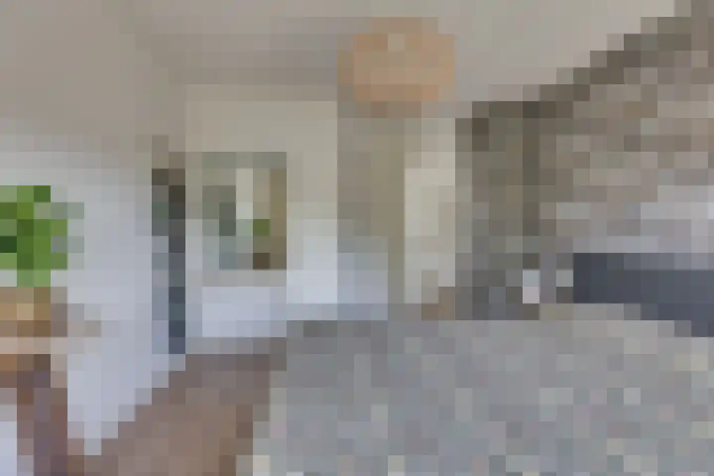 Ligtenbergerdijk 3 A Rijssen thumbnail 31
