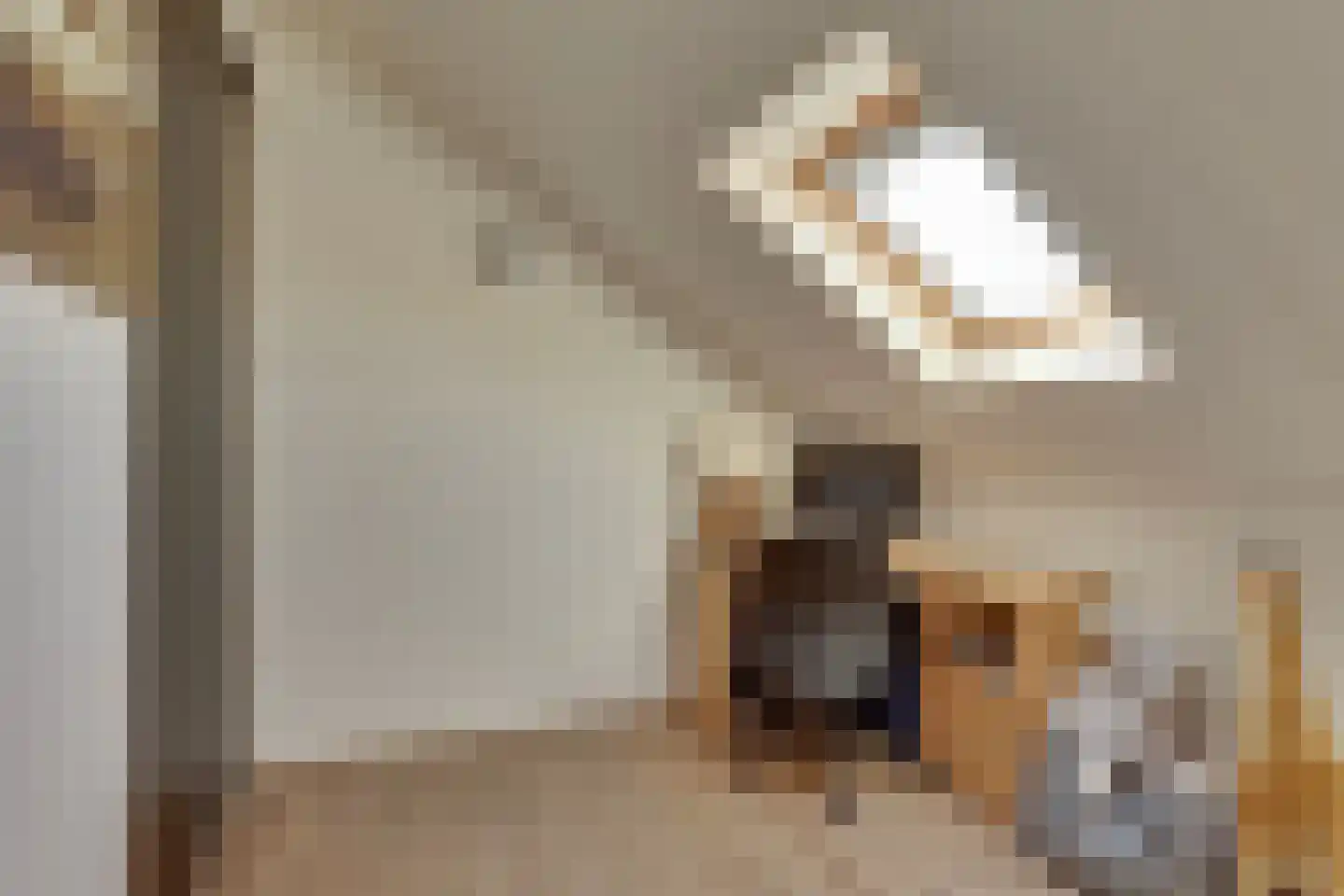 Ligtenbergerdijk 3 A Rijssen thumbnail 38