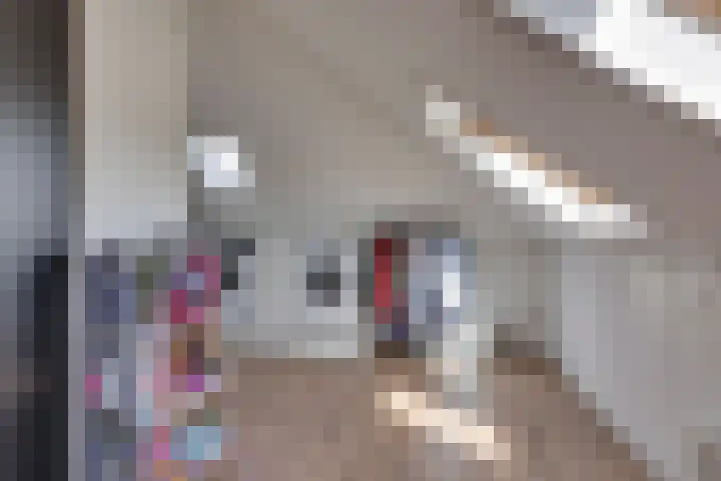 Ligtenbergerdijk 3 A Rijssen thumbnail 41