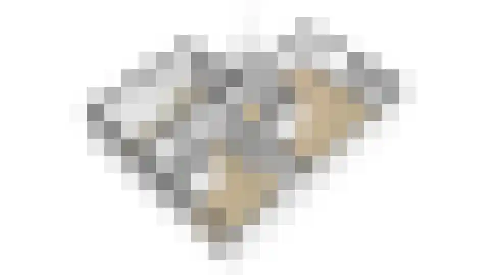 Ligtenbergerdijk 3 A Rijssen thumbnail 53