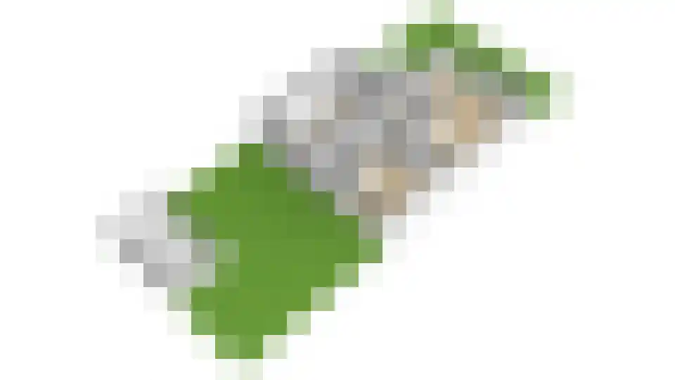 Ligtenbergerdijk 3 A Rijssen thumbnail 59