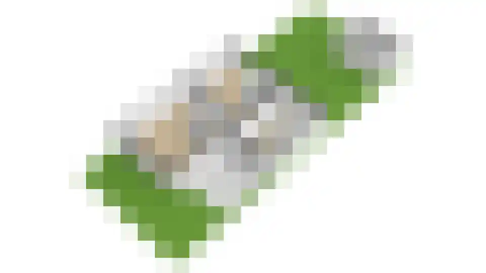 Ligtenbergerdijk 3 A Rijssen thumbnail 60