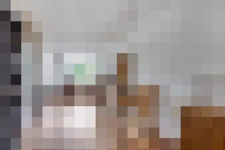 Ligtenbergerdijk 31 A Rijssen thumbnail 14