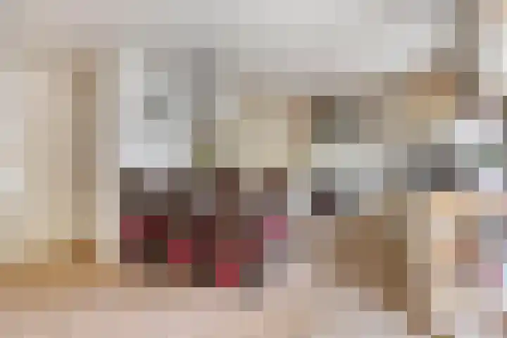 Ligtenbergerdijk 31 A Rijssen thumbnail 15
