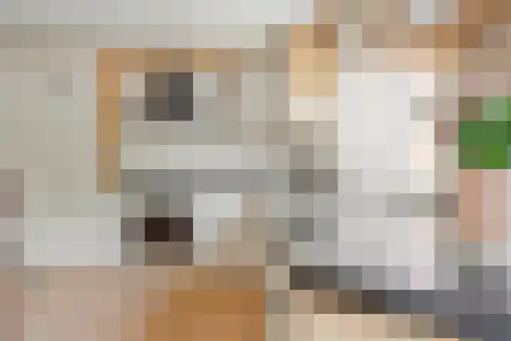 Ligtenbergerdijk 31 A Rijssen thumbnail 18