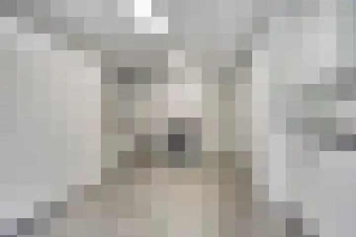 Ligtenbergerdijk 31 A Rijssen thumbnail 20