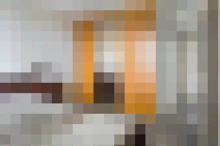 Ligtenbergerdijk 31 A Rijssen thumbnail 27