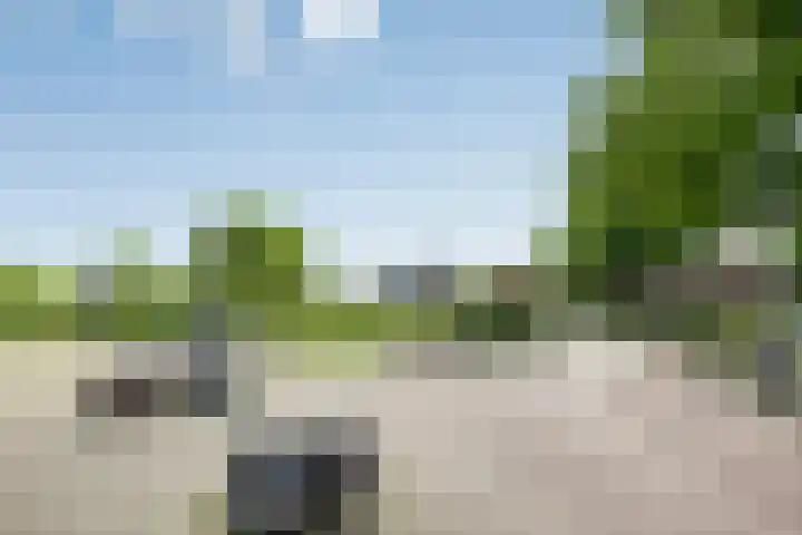 Ligtenbergerdijk 31 A Rijssen thumbnail 40