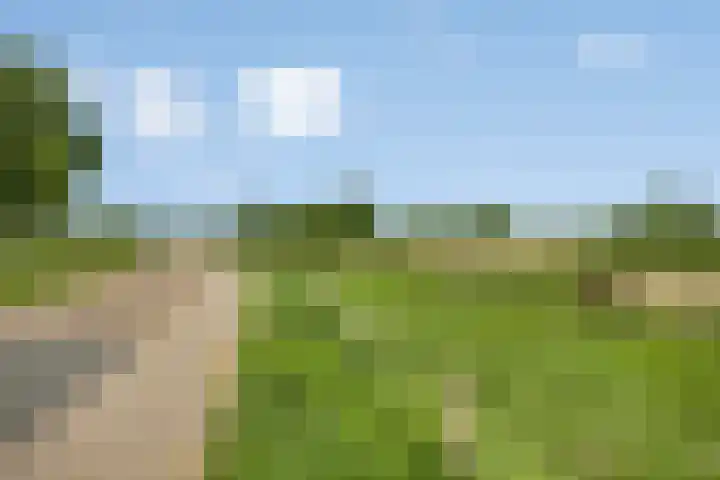Ligtenbergerdijk 31 A Rijssen thumbnail 41