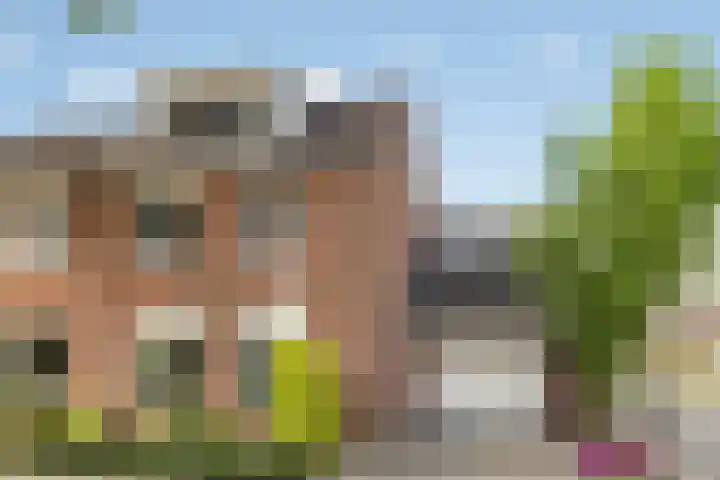 Ligtenbergerdijk 31 A Rijssen thumbnail 42