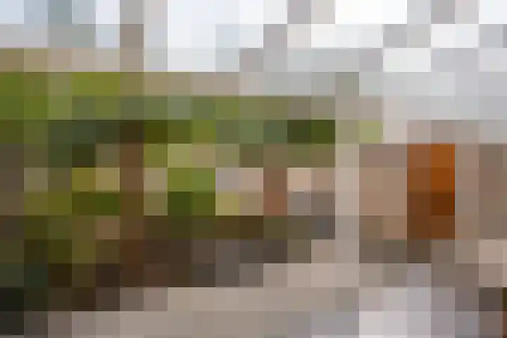 Ligtenbergstraat 7 Ulestraten thumbnail 21