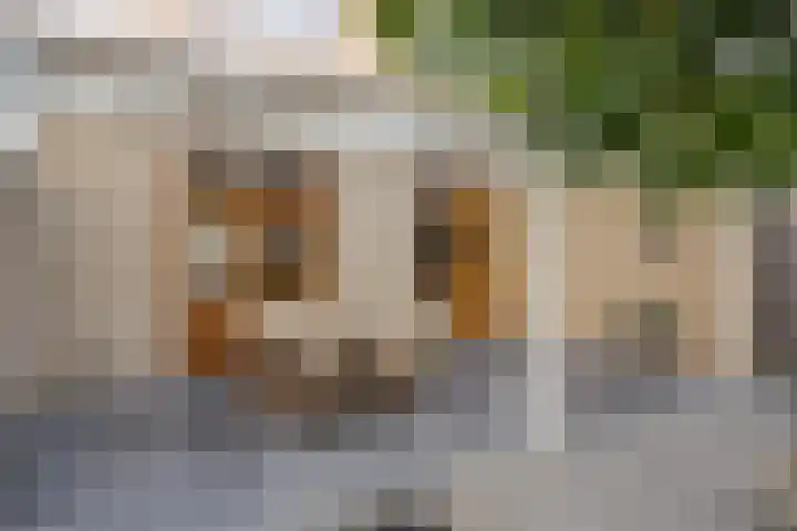 Ligtenbergstraat 7 Ulestraten thumbnail 22