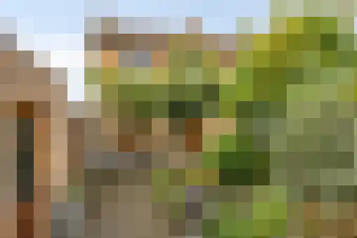 Ligtenbergstraat 7 Ulestraten thumbnail 23
