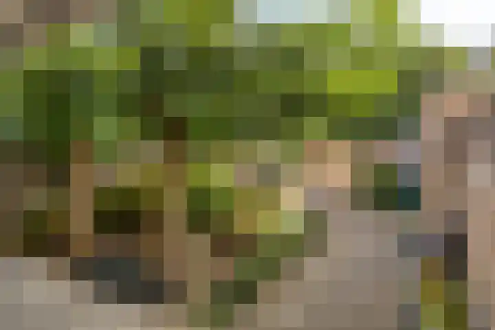 Ligtenbergstraat 7 Ulestraten thumbnail 6