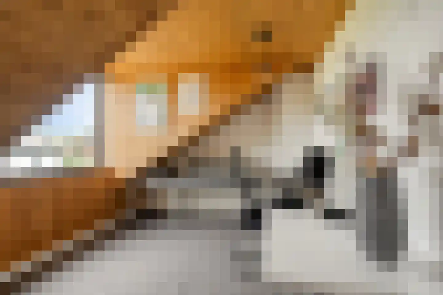 Ligtenbergstraat 9 Ulestraten thumbnail 23