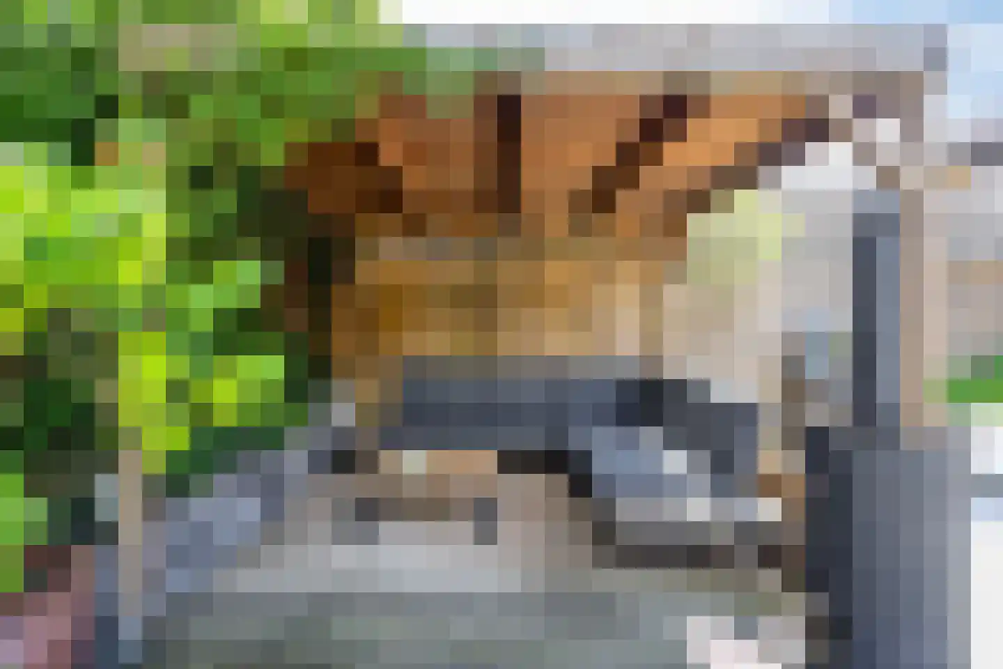 Ligtenbergstraat 9 Ulestraten thumbnail 29