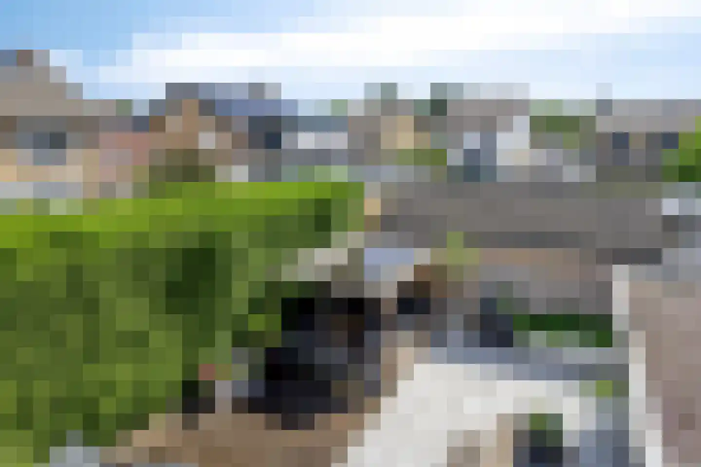 Ligtenbergstraat 9 Ulestraten thumbnail 31
