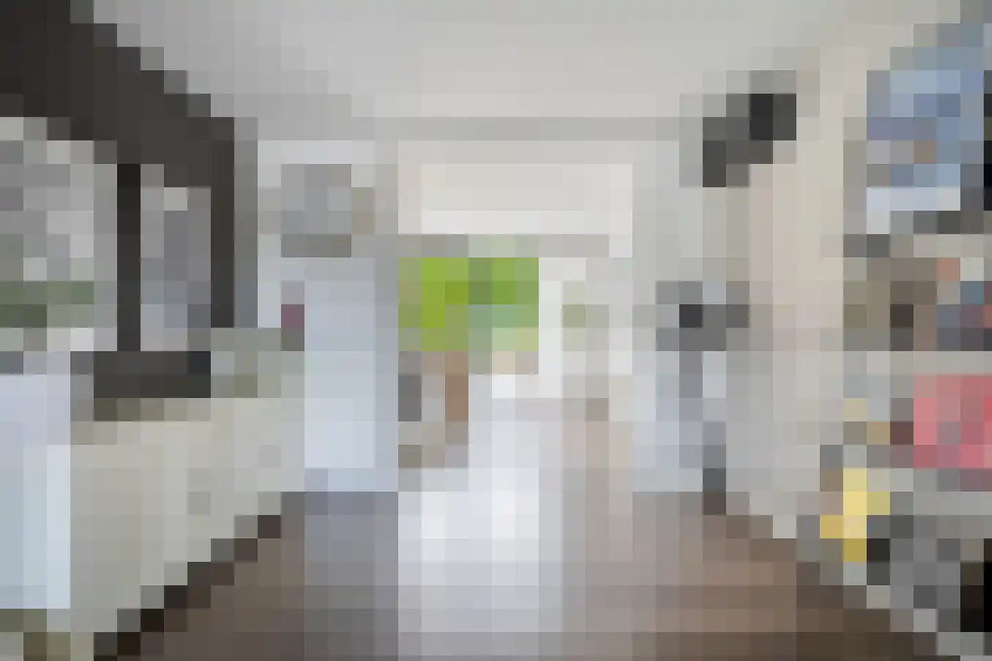 Ligtenbergstraat 9 Ulestraten thumbnail 9