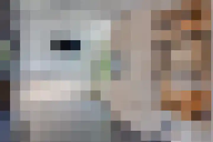 Ligthof 16 Tuitjenhorn thumbnail 11