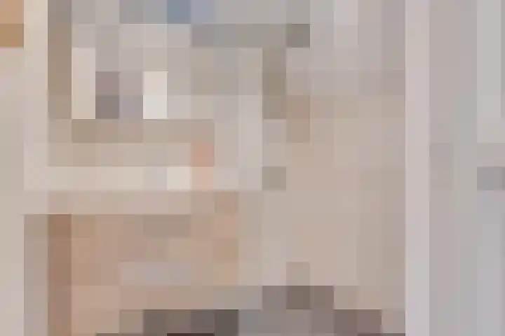Ligthof 16 Tuitjenhorn thumbnail 16