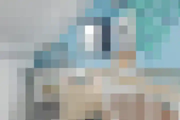 Ligthof 16 Tuitjenhorn thumbnail 21